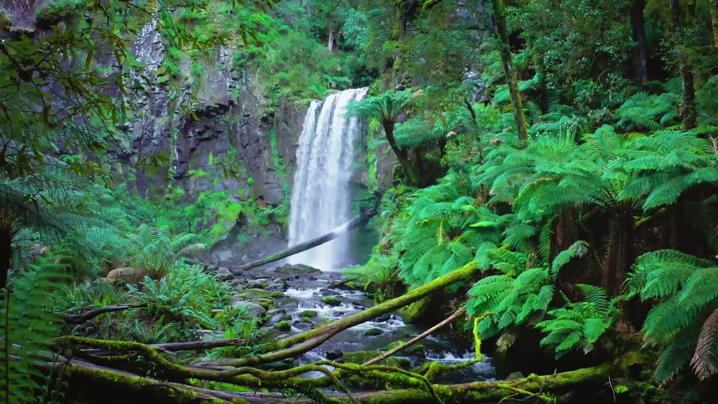 Rainforest and waterfall in the valley below the retreat