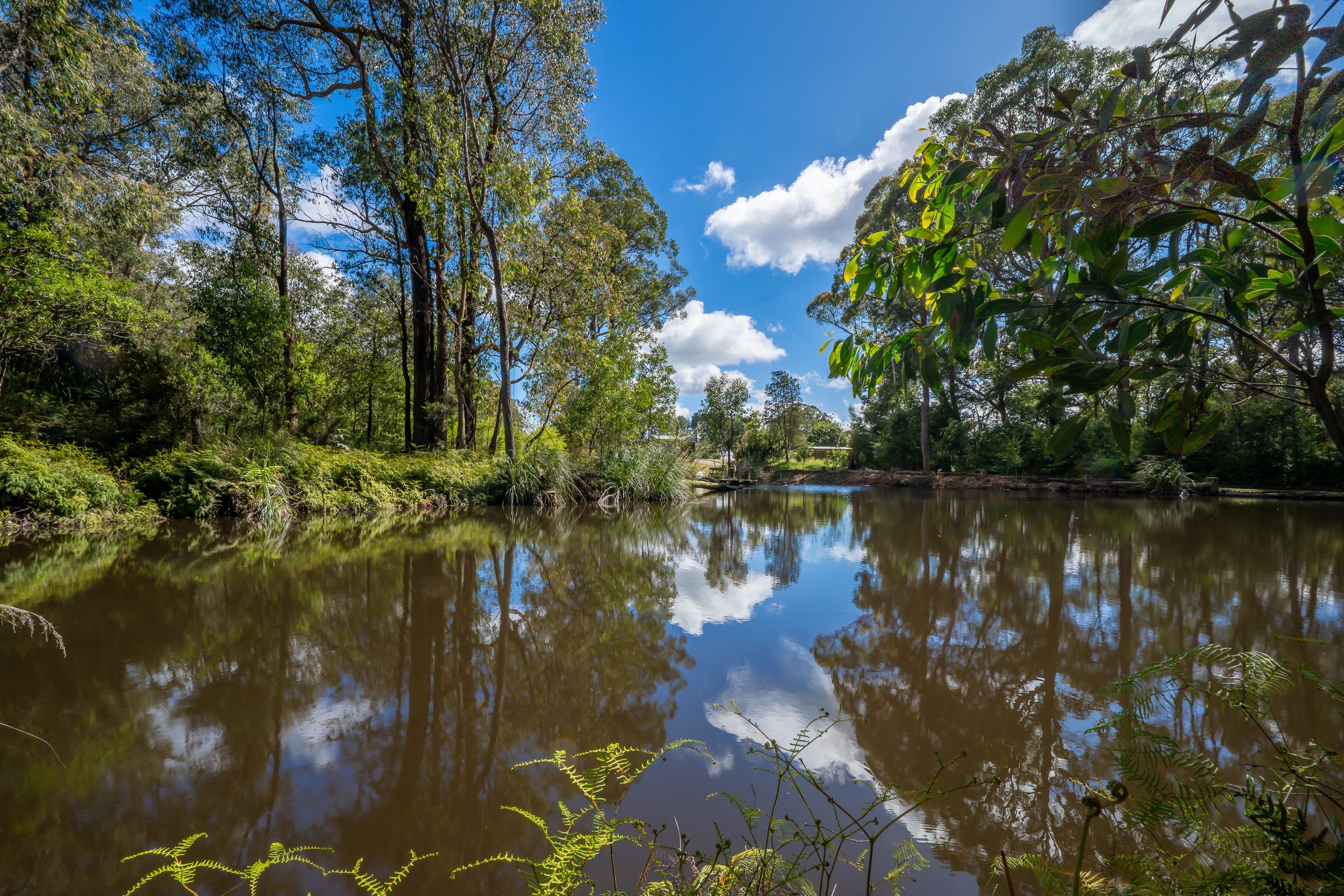 Cedarvale Yarra Ranges dam and surrounds